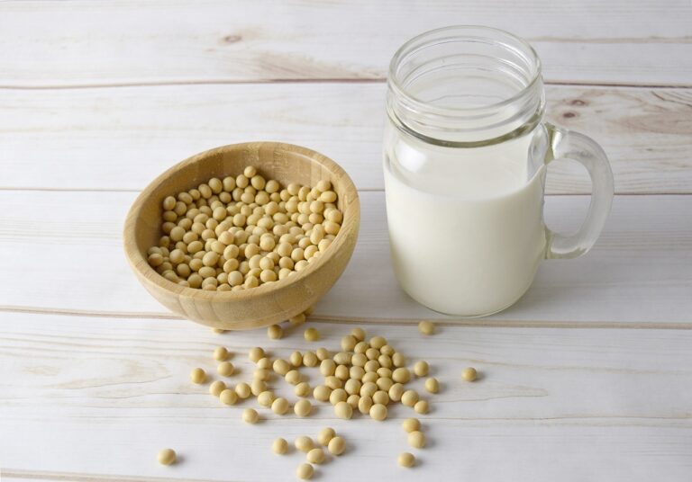 cara membuat susu kedelai