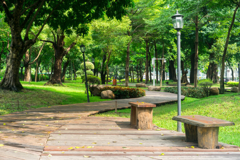 Taman