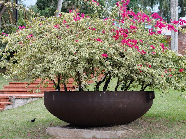 bunga besar